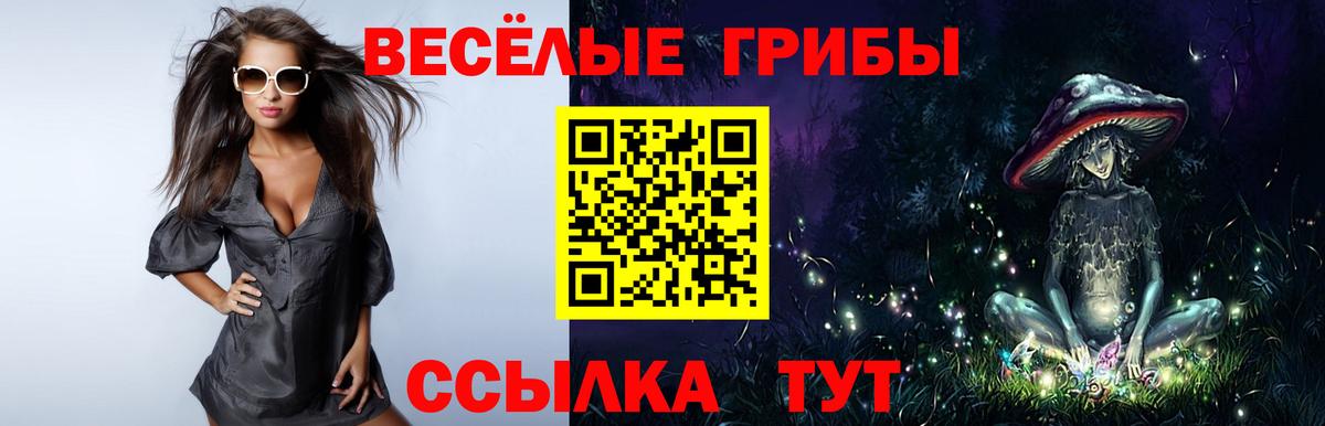 Кузнецк  Галлюциногенные грибы мухоморы  Вход с VPN  Галлюциногенные грибы мухоморы 